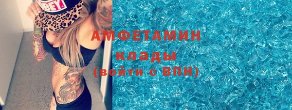 шишки Михайловск
