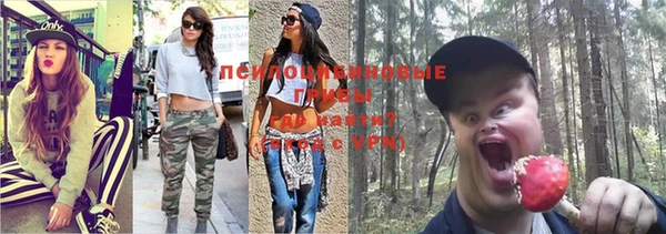 спайс Мегион