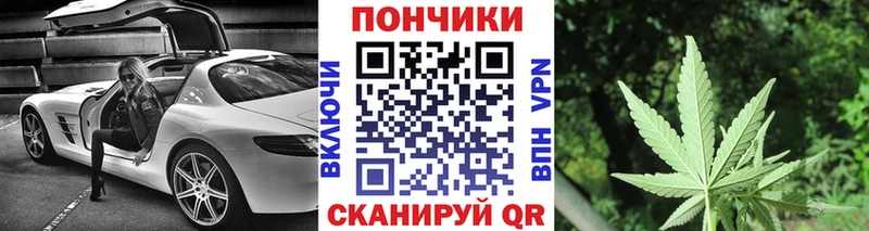 Купить закладки  Зима  МАРИХУАНА сатива 